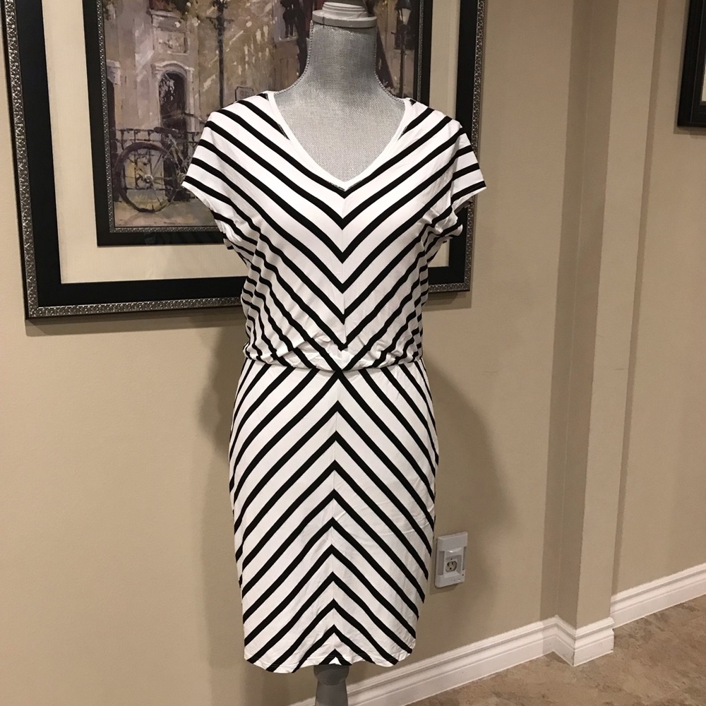 WHBM Beautiful Dress